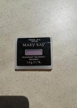 Тіні mary kay "frozen iris"