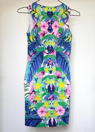 Шикарне плаття від miss selfridge 2