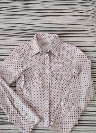 Блуза жіноча коттон1 фото