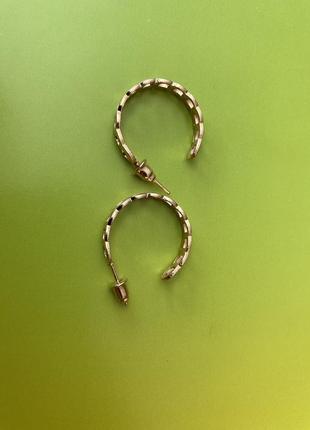 Сережки 6