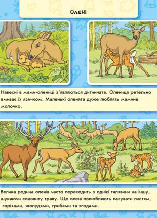 Детская энциклопедия в картинках "мир животных"3 фото