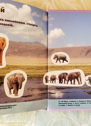 Удивительный мир слоны4 фото