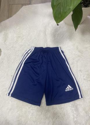 Шорти adidas