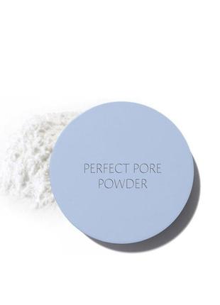 Рассыпчатая пудра для маскировки пор the saem saemmul perfect pore powder 5 г