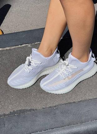 Кросівки adidas yeezy 350  static  no reflective
