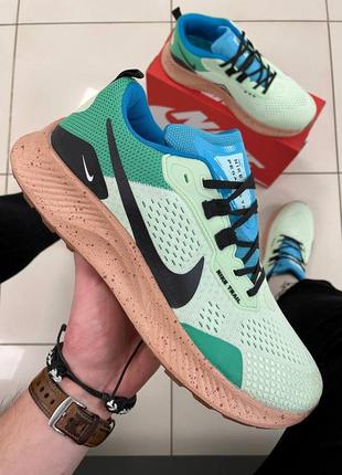 Чоловічі кросівки nike pegasus trail