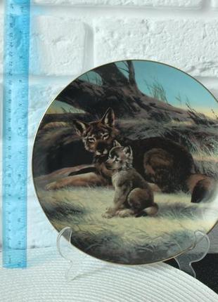 Bradex will nelson collectors plate ~ the red wolf and young дуже гарна тарілка з розкішим малюнком.