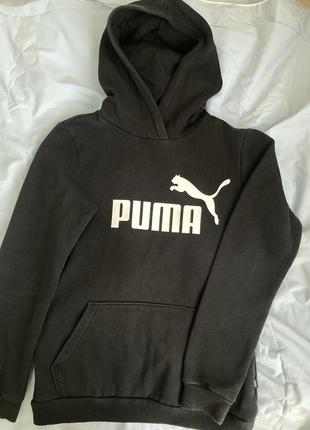 Толстовка puma1 фото