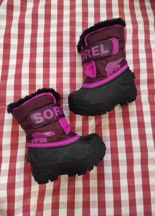 Детские сапоги sorel toddler цвет фиолетовый ботинки sorel сноубутси sorel