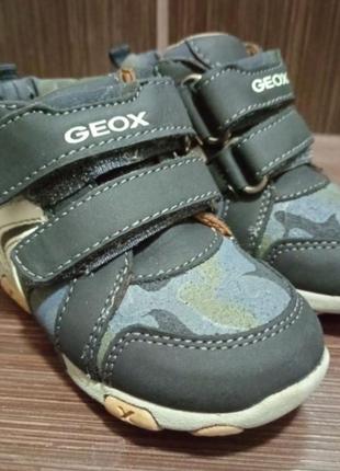 Черевики geox