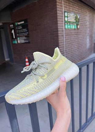 Кроссовки adidas yeezy 350 antlia