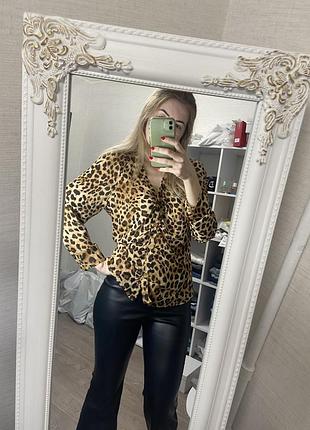 Леопардова блузка zara