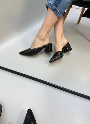 Шльопанці мюлі сабо з гострим носком зі шкіри з тисненням під змію багато кольорів