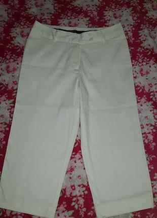 Білі класичні короткі брюки/бріджі