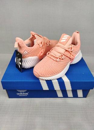 #1293
adidas alphabounce instinct peach4 фото