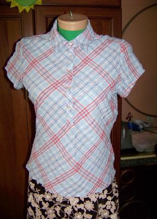 Жата натуральна блузка в карту next uk 10 eur 38