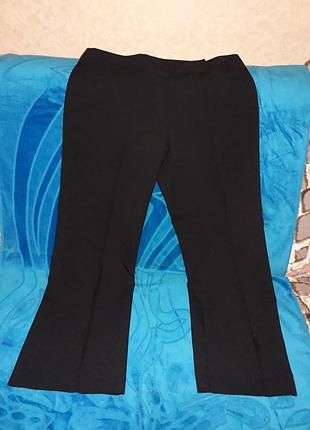 Штани в класичному стилі florence&fred