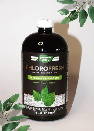Nature's way, chlorofresh, жидкий хлорофилл, с ароматом мяты