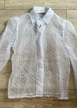 Прозора біла блузка в горошок