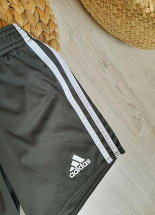 Шорты от адидас 3