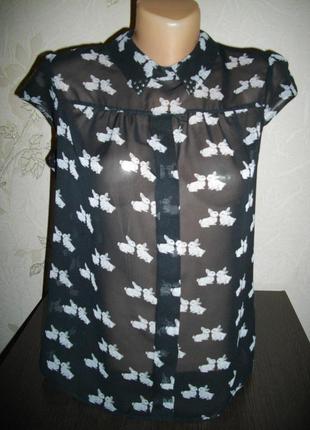 Блуза * kylie* шифон, 13 + лет (158 см)