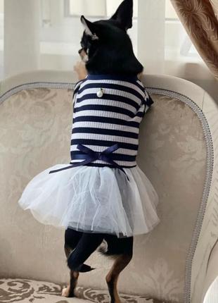 Платье для собак с юбкой s/m/l/xl