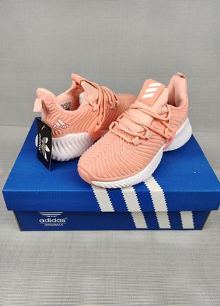 Adidas alphabounce instinct peach