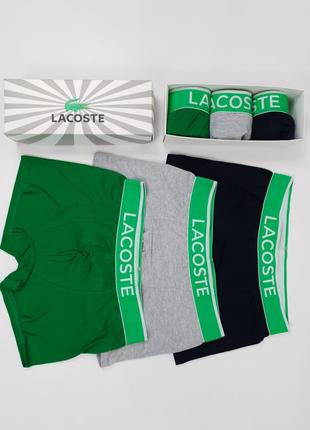 Труси чоловічі та підліткові 3 шт. lacoste. чоловічі труси бренди лакості. комплект труси боксери3 фото