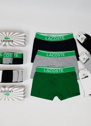 Трусы боксеры 3 шт и короткие носки 6 пар lacoste. подарочный набор трусов и носков в коробке лакост