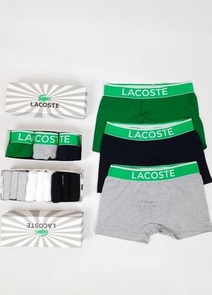 Белье нижнее комплект трусов боксеров 3 шт и коротких носков 9 пар lacoste. низкие носки и трусы3 фото