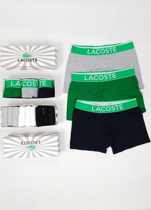 Белье нижнее комплект трусов боксеров 3 шт и коротких носков 9 пар lacoste. низкие носки и трусы4 фото