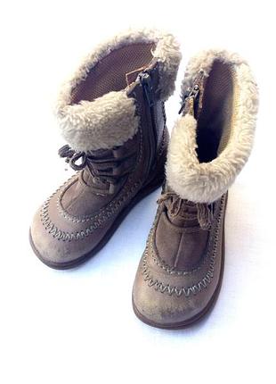 Сапоги демисезонные clarks