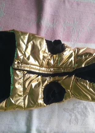 Костюм для маленької собачки