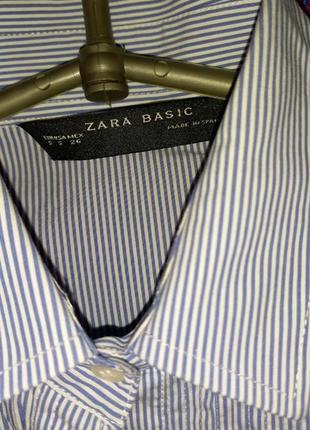 Сорочка в смужку  zara basic4 фото