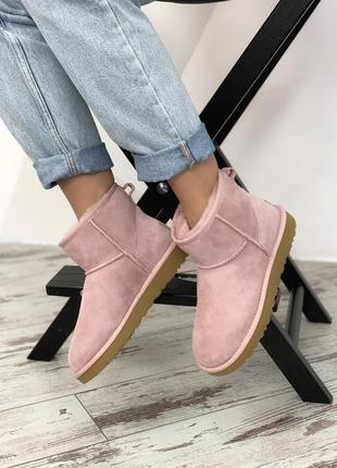 Ugg classic ii mini pink. женские ❄️зимние❄️замшевые сапоги\уги.