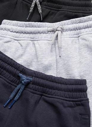 Спортивні штани джоггери на флісі некст