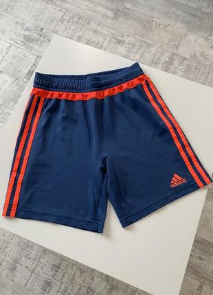 Шорты adidas оригинал 💙💙💙1 фото