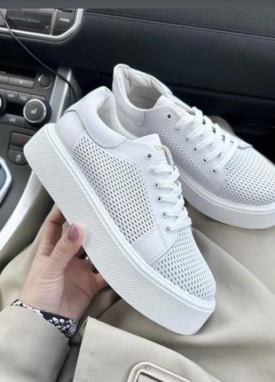 Кеди