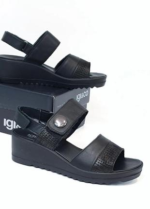 Igi&co  - женские кожаные босоножки сандалии на танкетке 37, 38, 393 фото