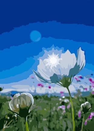 Картина за номерами польові квіти gs605