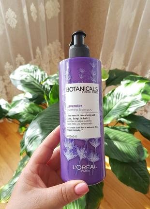 Шампунь лореаль "лаванда, эссенция увлажнение" для тонких волос l'oreal botanicals fresh care lavender1 фото