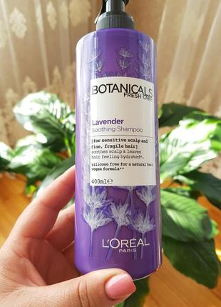 Шампунь лореаль "лаванда, эссенция увлажнение" для тонких волос l'oreal botanicals fresh care lavender2 фото