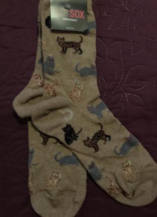 Шкарпетки з котами1 фото