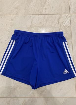 Спортивные шорты adidas синие мужские1 фото