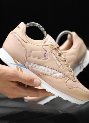 Кросівки жіночі reebok(весна/літо/осінь)