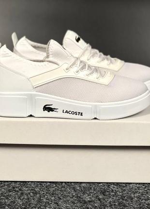 Кроссовки lacoste white (40-44)1 фото