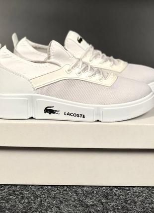 Кроссовки lacoste white (40-44)