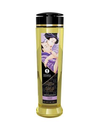 Масажна олія shunga sensation – lavender (240 мл) натуральна зволожувальна