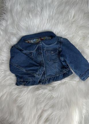 Стильна джинсовка, джинсовий піджак