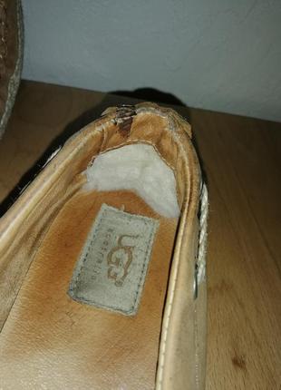 Балетки, туфли ugg2 фото